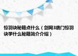 惊羽诀秘籍点什么（剑网3唐门惊羽诀学什么秘籍简介介绍）