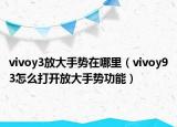 vivoy3放大手势在哪里（vivoy93怎么打开放大手势功能）