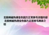 北极熊被热得变色园方正常换毛详细内容 北极熊被热得变色园方正常换毛具体介绍