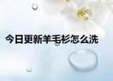 今日更新羊毛衫怎么洗