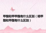 甲酯和甲甲酯有什么区别（精甲酯和甲酯有什么区别）