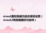 vivos1图标隐藏功能在哪里设置（vivos12有隐藏图标功能吗）