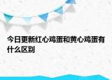 今日更新红心鸡蛋和黄心鸡蛋有什么区别