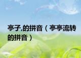 亭子,的拼音（亭亭流转的拼音）