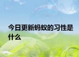 今日更新蚂蚁的习性是什么
