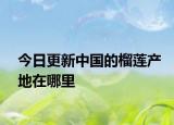 今日更新中国的榴莲产地在哪里