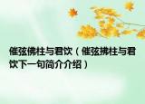 催弦佛柱与君饮（催弦拂柱与君饮下一句简介介绍）