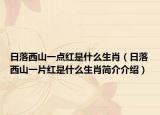 日落西山一点红是什么生肖（日落西山一片红是什么生肖简介介绍）