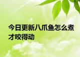今日更新八爪鱼怎么煮才咬得动