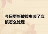 今日更新被蝗虫咬了应该怎么处理