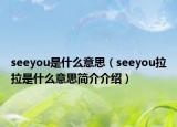 seeyou是什么意思（seeyou拉拉是什么意思简介介绍）
