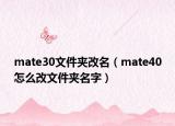 mate30文件夹改名（mate40怎么改文件夹名字）