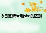 今日更新he和she的区别