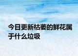 今日更新枯萎的鲜花属于什么垃圾