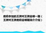鹿晗参加的王牌对王牌是哪一期（王牌对王牌鹿晗是哪期简介介绍）