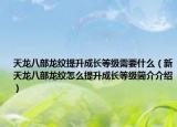 天龙八部龙纹提升成长等级需要什么（新天龙八部龙纹怎么提升成长等级简介介绍）