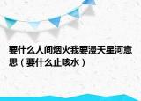 要什么人间烟火我要漫天星河意思（要什么止咳水）