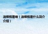 油橄榄是啥（油橄榄是什么简介介绍）