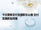 今日更新支付宝借款怎么借 支付宝借款如何借
