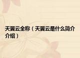 天翼云全称（天翼云是什么简介介绍）