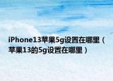 iPhone13苹果5g设置在哪里（苹果13的5g设置在哪里）