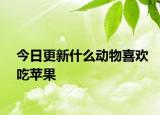今日更新什么动物喜欢吃苹果