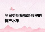 今日更新杨梅是哪里的特产水果