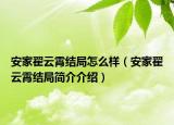安家翟云霄结局怎么样（安家翟云霄结局简介介绍）