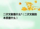 二次文献是什么?（二次文献的本质是什么）