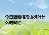 今日更新栖霞山枫叶什么时候红