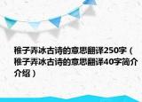 稚子弄冰古诗的意思翻译250字（稚子弄冰古诗的意思翻译40字简介介绍）