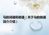 马的词语和俗语（关于马的俗语简介介绍）