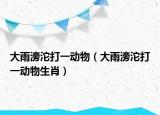 大雨滂沱打一动物（大雨滂沱打一动物生肖）