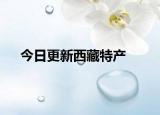 今日更新西藏特产
