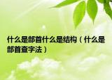 什么是部首什么是结构（什么是部首查字法）