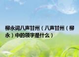 柳永词八声甘州（八声甘州（柳永）中的领字是什么）