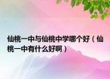 仙桃一中与仙桃中学哪个好（仙桃一中有什么好啊）