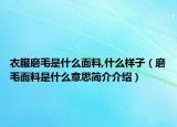衣服磨毛是什么面料,什么样子（磨毛面料是什么意思简介介绍）