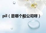 pil（是哪个船公司呀）
