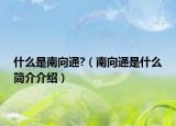 什么是南向通?（南向通是什么简介介绍）