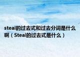 steal的过去式和过去分词是什么啊（Steal的过去式是什么）