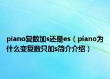 piano复数加s还是es（piano为什么变复数只加s简介介绍）