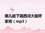 哪儿能下载西河大鼓呼家将（mp3）