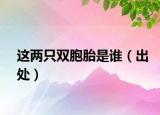 这两只双胞胎是谁（出处）