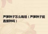 芦笋种子怎么栽培（芦笋种子能直接种吗）