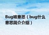 Bug啥意思（bug什么意思简介介绍）