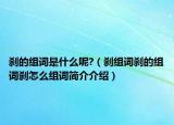 刹的组词是什么呢?（刹组词刹的组词刹怎么组词简介介绍）
