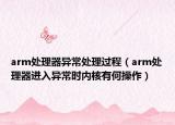 arm处理器异常处理过程（arm处理器进入异常时内核有何操作）