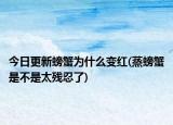今日更新螃蟹为什么变红(蒸螃蟹是不是太残忍了)