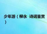 少年游（柳永  诗词鉴赏）
